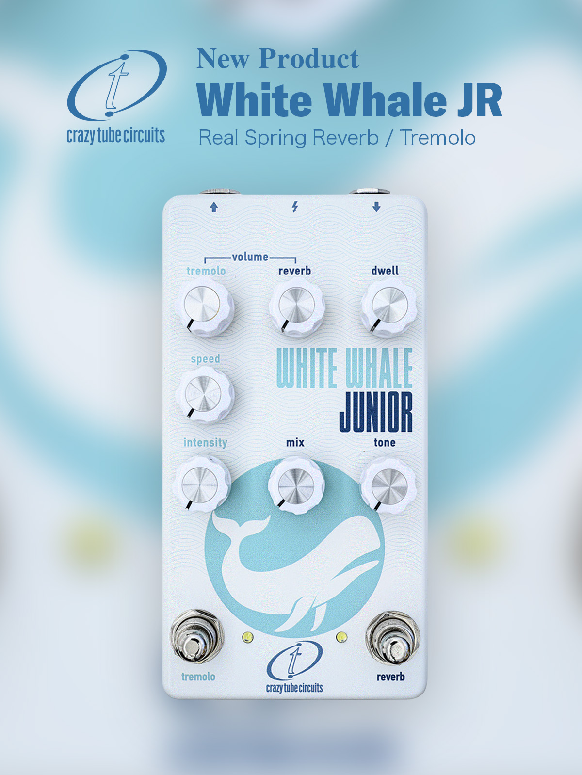 ctc-wwjr-sns-01.jpg